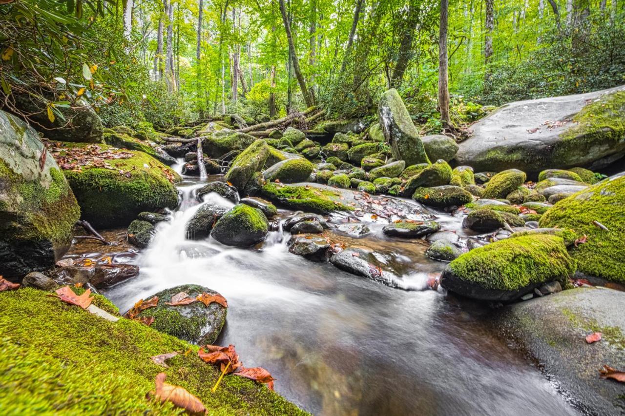 Vila Seasons Of The Heart Gatlinburg Exteriér fotografie